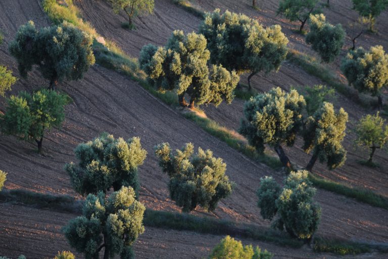 Calaceite